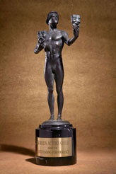 Screen Actors Guild Award
